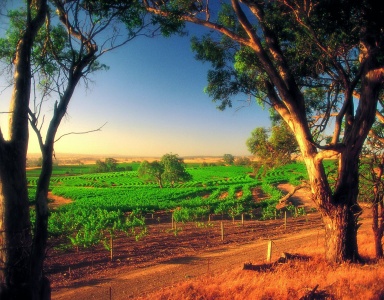 Eden Valley